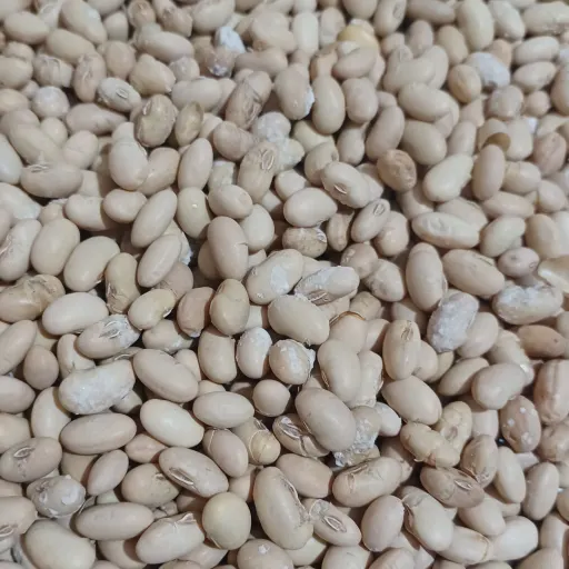 سویا برشته تازه و امساله1000گرمی