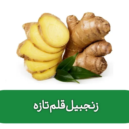 زنجبیل قلم