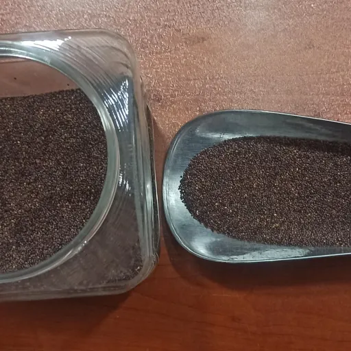 بذر مرزه باغی 20گرمی