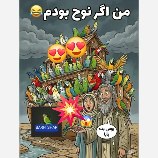 اسباب بازی پرندگان