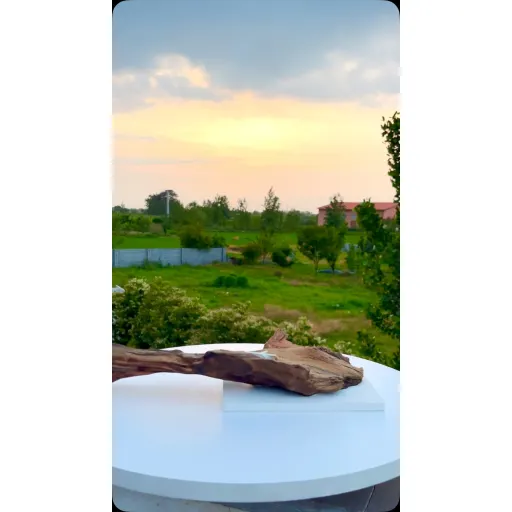 جاشمعی تاک
