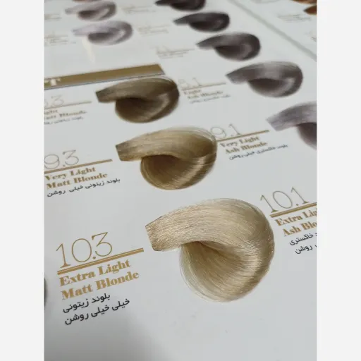 رنگ مو چیفون 120 میل شماره 8.5