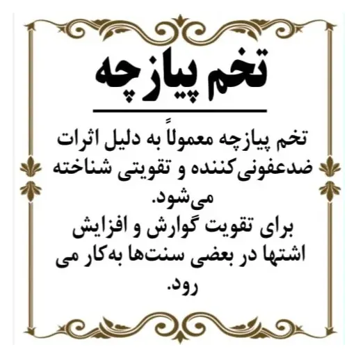 تخم پیازچه 100گرم