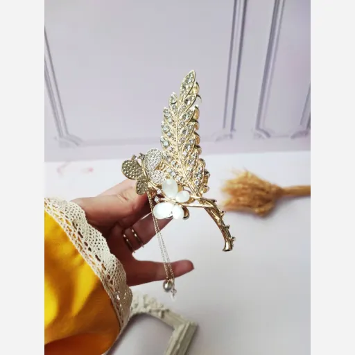 کلیپس فلزی مجلسی 