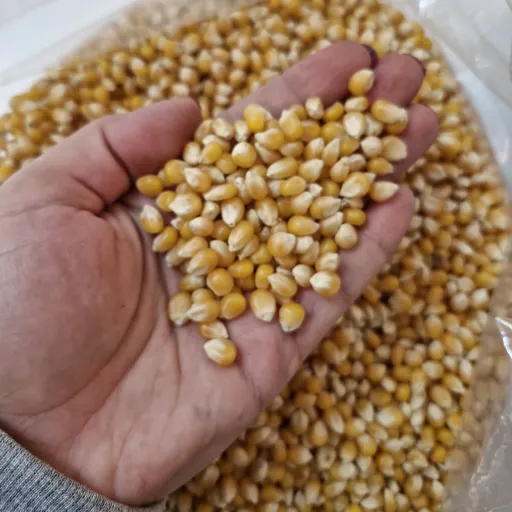 ذرت پاپ کورن یک کیلو
