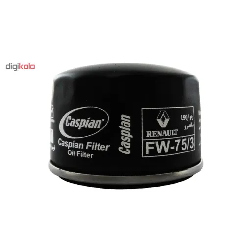 فیلتر روغن خودروی کاسپین مدل FW-753 مناسب برای رنو مگان