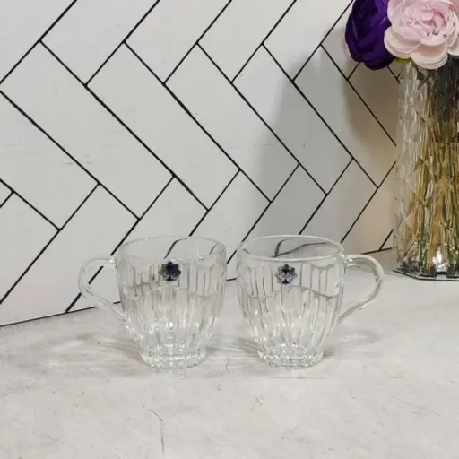 فنجان شیشه و بلور اصفهان مدل برلین بسته 6 عددی رنگ بی رنگ شفاف