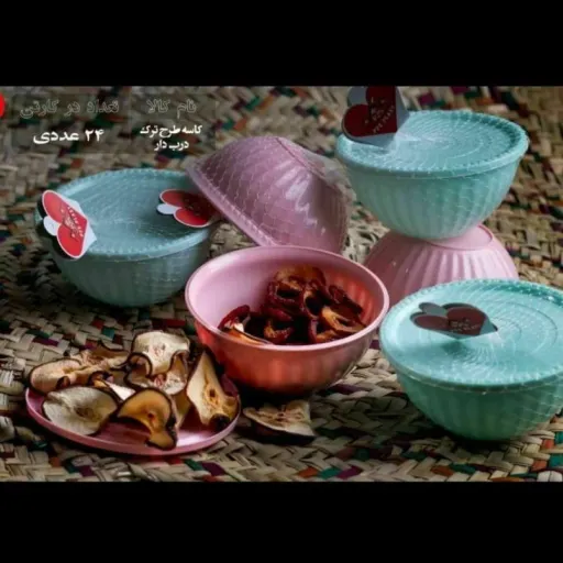 کاسه درب دار