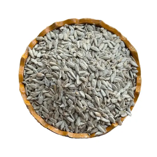 مغز تخمه آفتابگردان شور 250 گرم