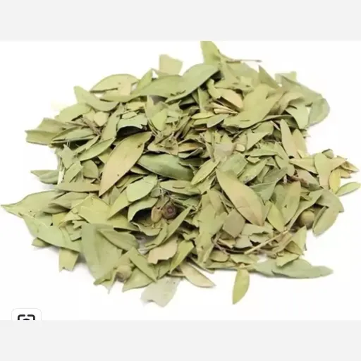 برگ مورد یک کیلویی
