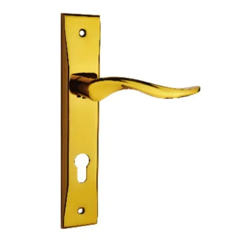 دستگیره پلاک سوئیچی کارو کد24 رنگ طلایی