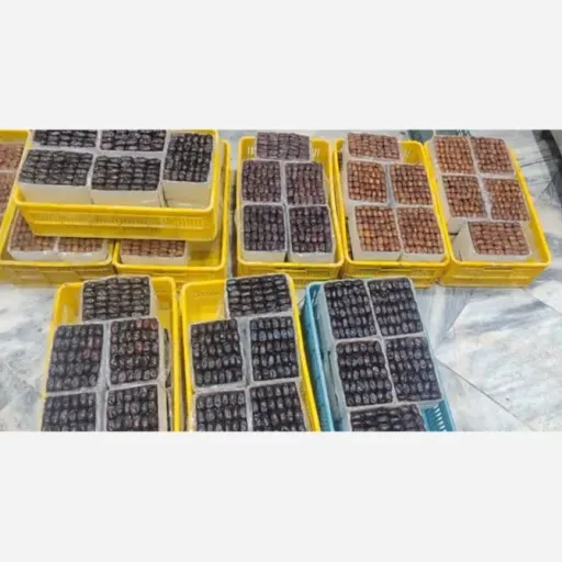 خرما خنیزی اعلاء (کارتنی)وزن بین 1000 تا 1050 گرم در وزن های 1000 گرمی 2