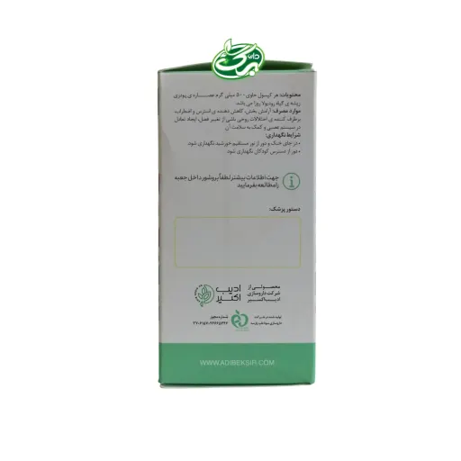 رودیلاکس ادیب