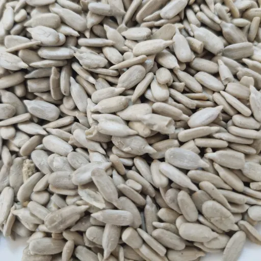 مغز تخمه افتابگردان یک کیلویی