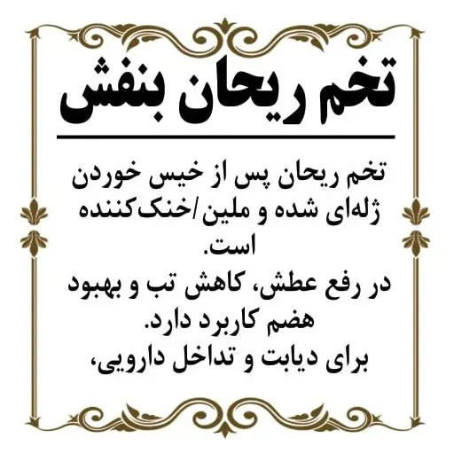 تخم ریحان بنفش 150گرم