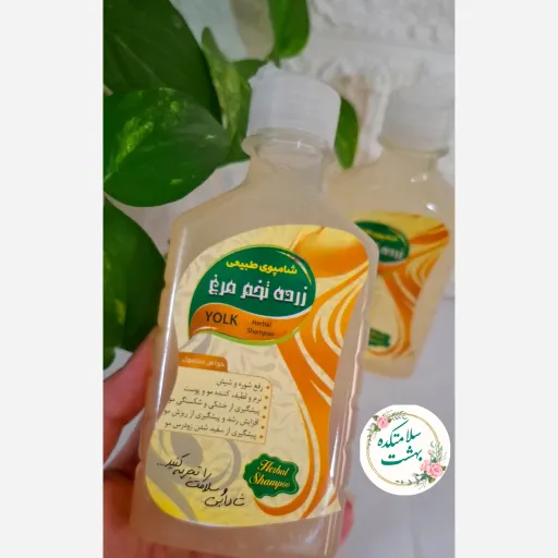شامپو طبیعی زرده تخم مرغ