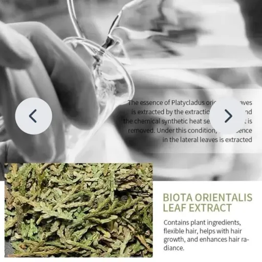 شامپو رزماری بیوآکوا اصل تقویت کننده وضد ریزش مو حجم250mil Bioaqua