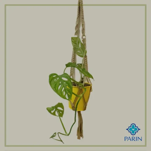 آویز گلدان مدل مکرومه (مناسب انواع گلدان)