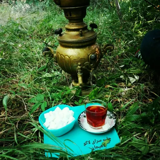 چای وزین ممتاز1405 لاهیجان (نیم کیلویی) محصول 1404