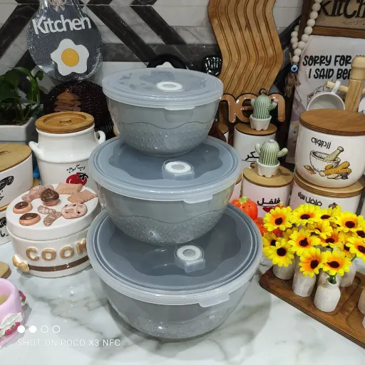ظرف نگهدارنده غذا و تنقلات طرح گرد سوپاپ دار کاربردی