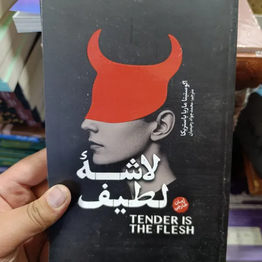 کتاب لاشهٔ لطیف رمان خارجی با تخفیف ویژه (اگو ساینا ماریا باستریکا) ترجمه محمد جواد رحیمیان 