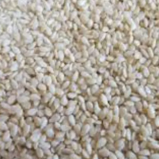 کنجد سفید 100 گرم