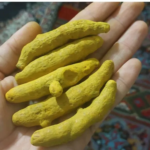 قلم زردچوبه 4 منار اعلا