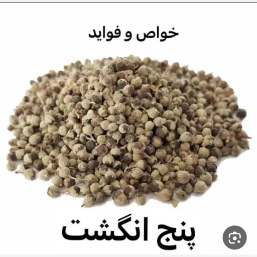پنج انگشت 100 گرمی 