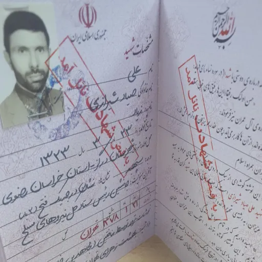 شناسنامه شهدا جلد33
