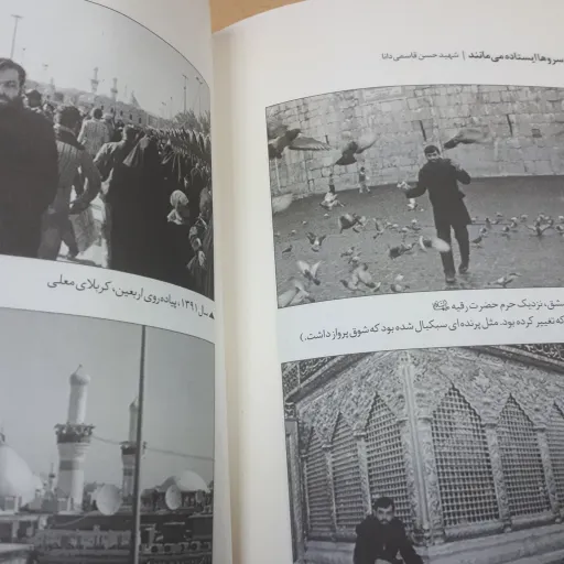 سروها ایستاده میمانند