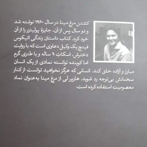 کشتن مرغ مینا ، امیرکبیر