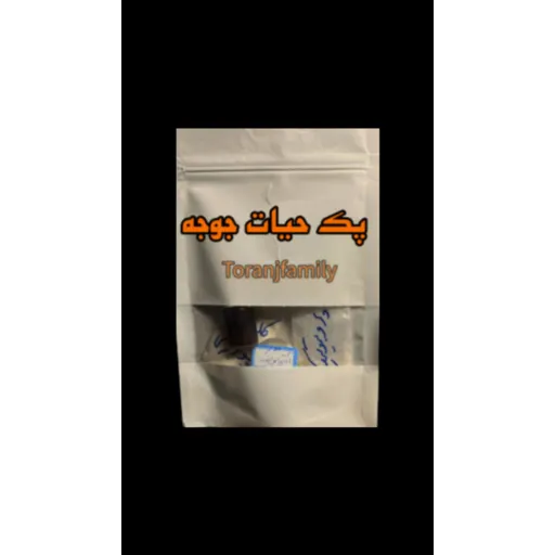 پک حیات جوجه