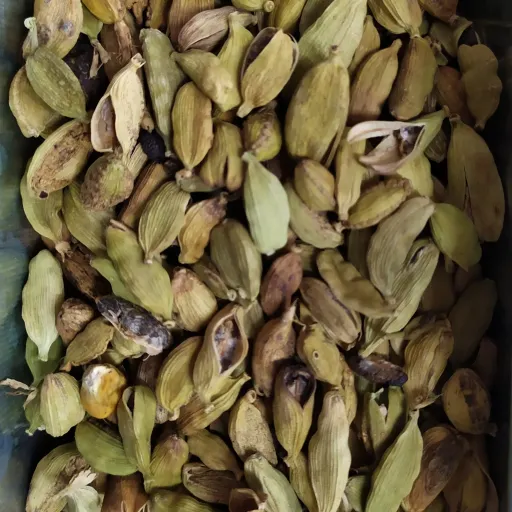 هل شکسته آمریکایی 70 گرم