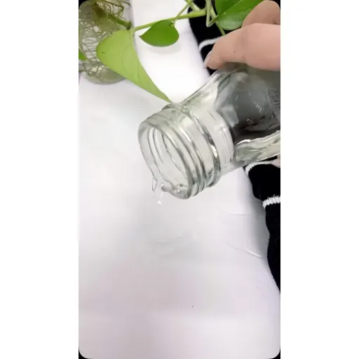 بادی و کراپ دخترونه