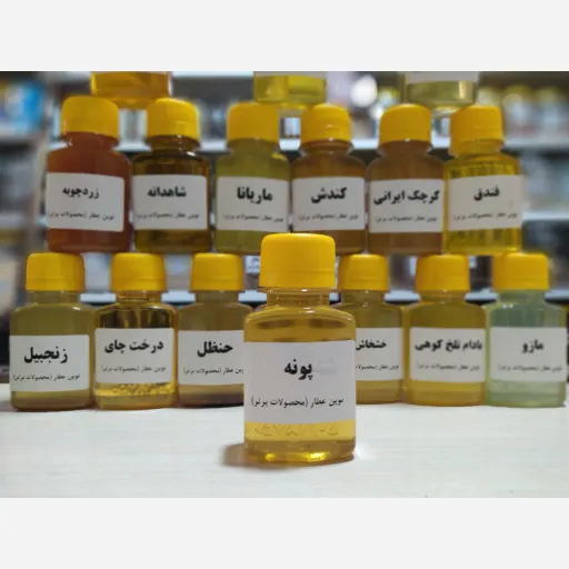روغن پونه