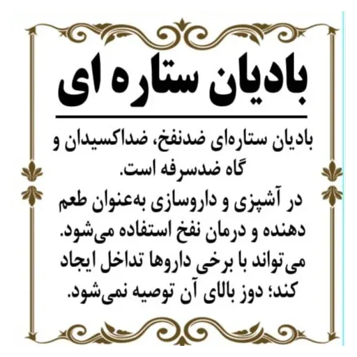 بادیان ستاره ای ( 80 گرم ) بادیان ختایی انیسون ستاره ای