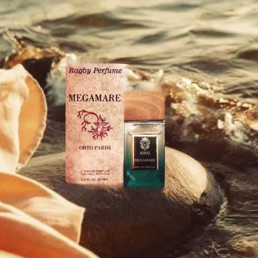 عطر ادکلن مگاماره MEGAMARE برند راگبی 55 میل
