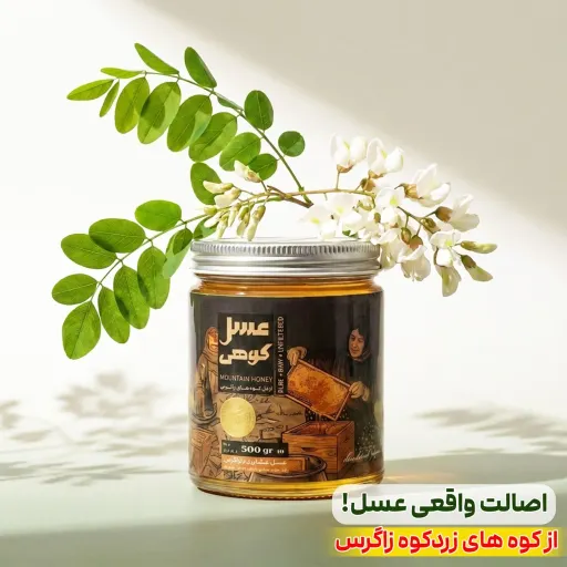 عسل کوهی وحشی ناب زاگرس (500 گرم) فوق ارگانیک+بسیار کمیاب+طعم-عطر قوی