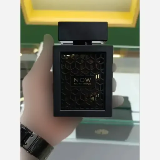 ادکلن ناو now ریو 100 میل رایحه چوبی میوه ای معتدل 4 فصل ماندگاری بالا
