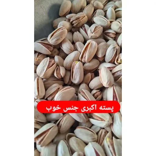 پسته اکبری رفسنجان انس ۲۶ با کیفیت درجه‌یک