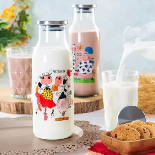 بطری هیوا استیل