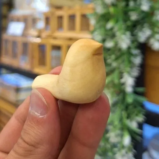جوجه چوبی کوچک (پرنده)