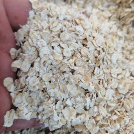 جو دو سر پرک خارجی ( کانادایی) بسیار خوش طعم