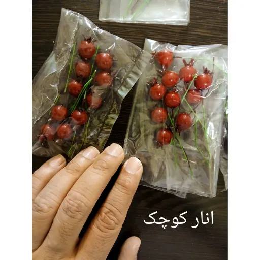 گل و گیاهان خشک شده چند نوع و رنگ متفاوت گیاه خشک دم روباهی قرمز