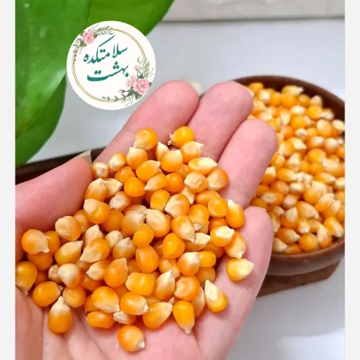 ذرت پاپ کورن طبیعی و خام پفیلا وزن 1کیلو