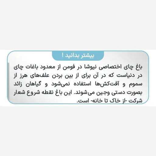 چای اصیل ایرانی 4
