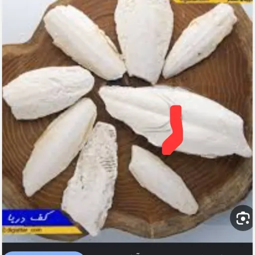 کف دریا 100 گرم