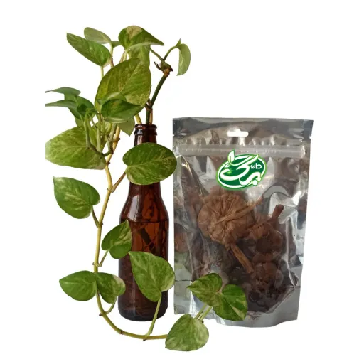سیر سیاه