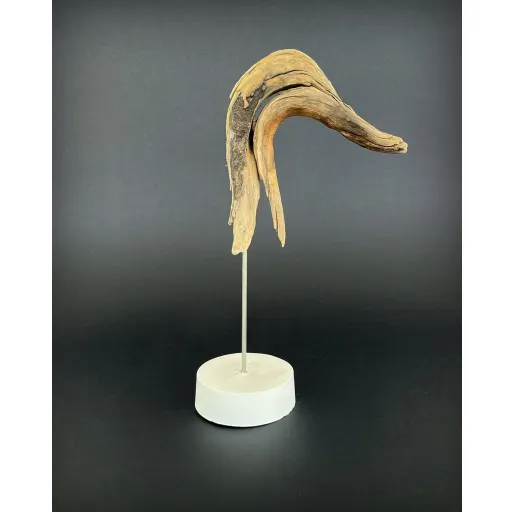 مجسمه داکی