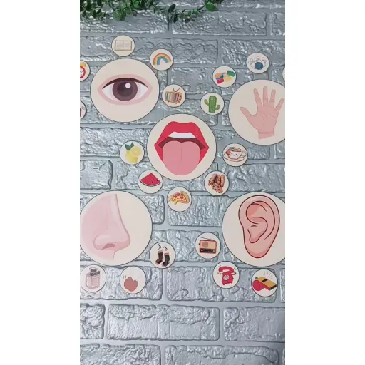 پک تصویری حواس پنج‌گانه